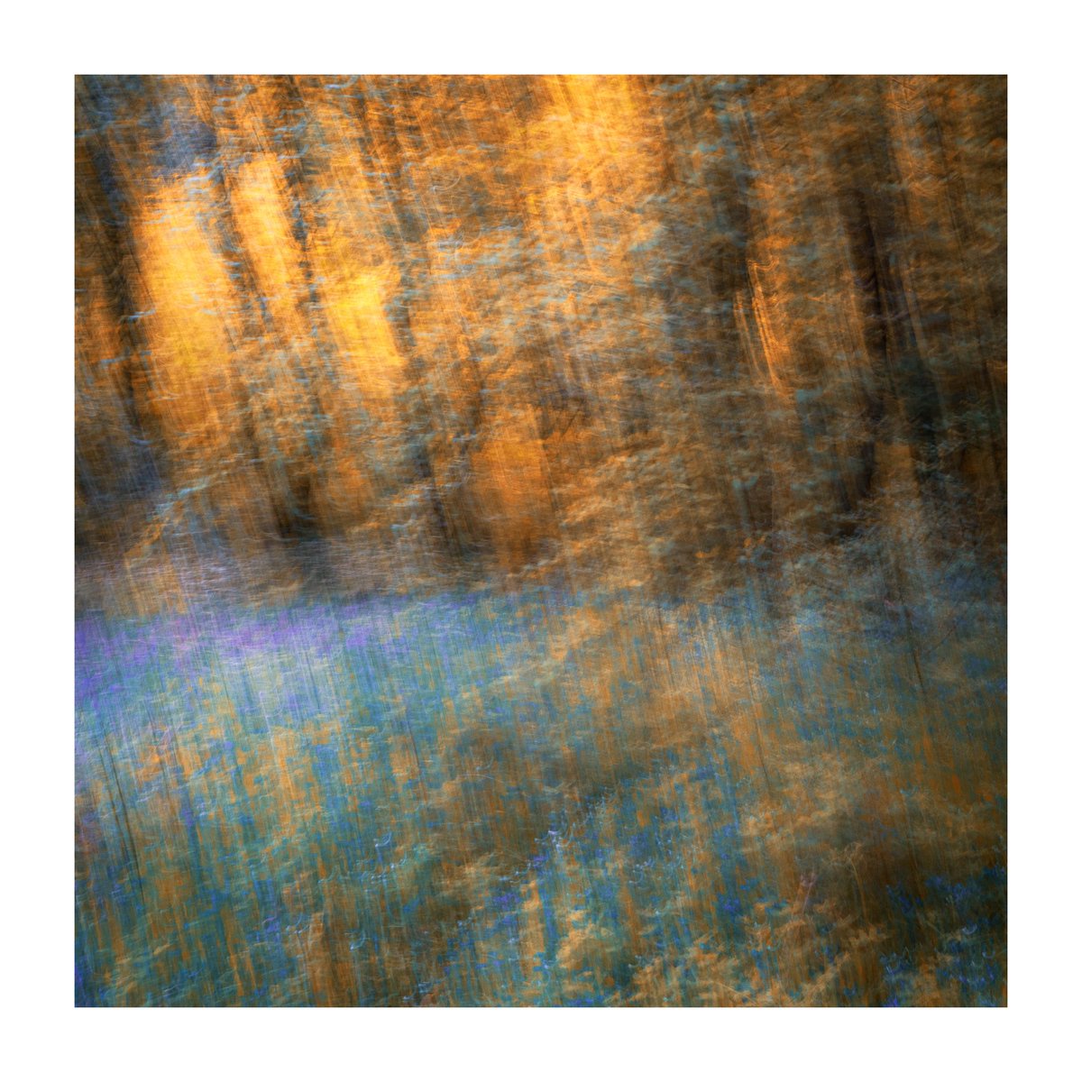 A bit of unintentional camera movement while losing my balance in the woods last week 

#fsprintmonday #wexmondays #Abstract #derbyshire #appicoftheweek #woodland #bluebells