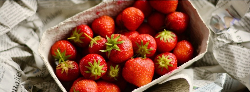 Wenn das Essen nach Pappe schmeckt ift.tt/EObt9Iu