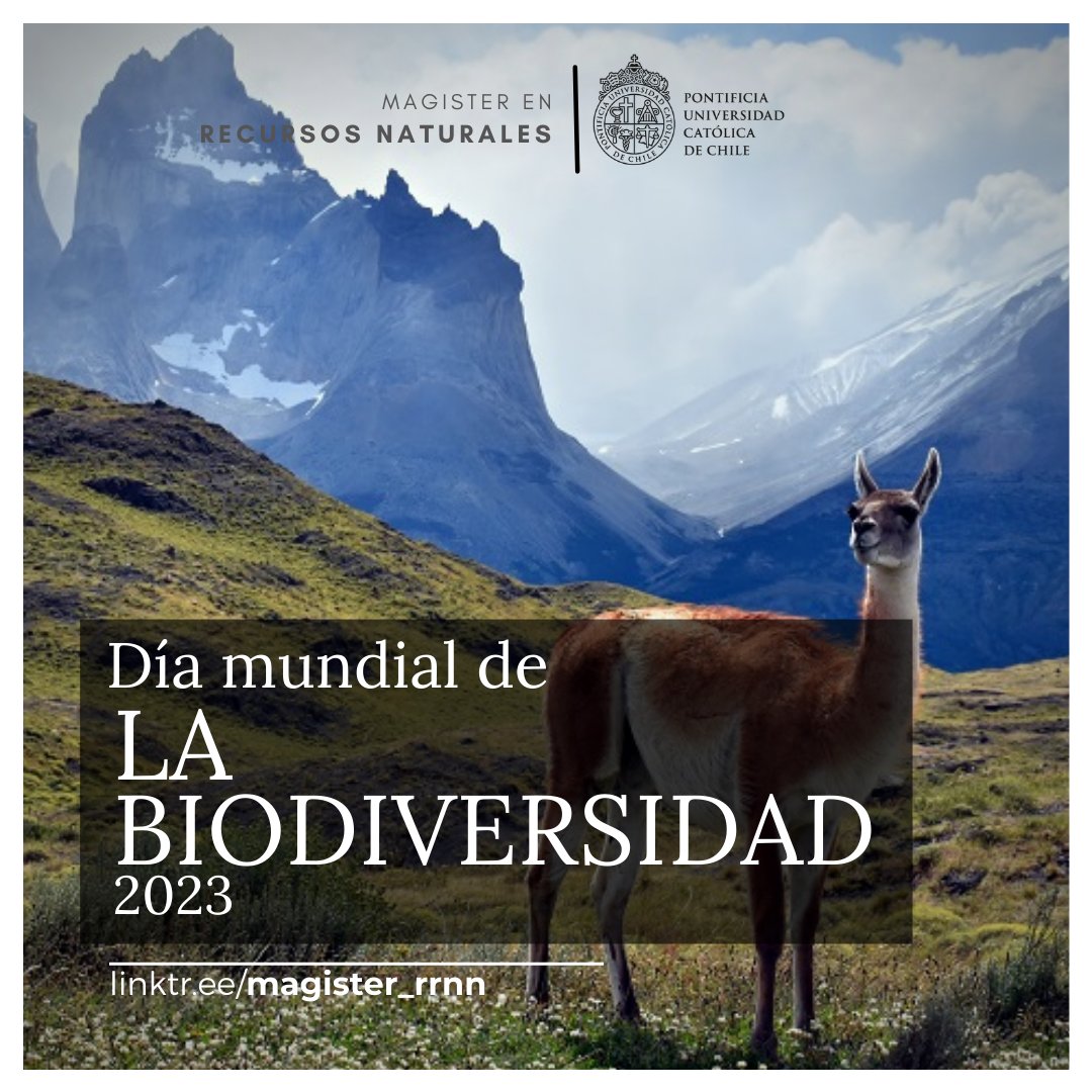 En el Día Mundial de la Biodiversidad, reconozcamos nuestra dependencia de ecosistemas saludables y el impacto positivo del acuerdo Kumming-Montreal. ¡La restauración y conservación de la naturaleza es posible!