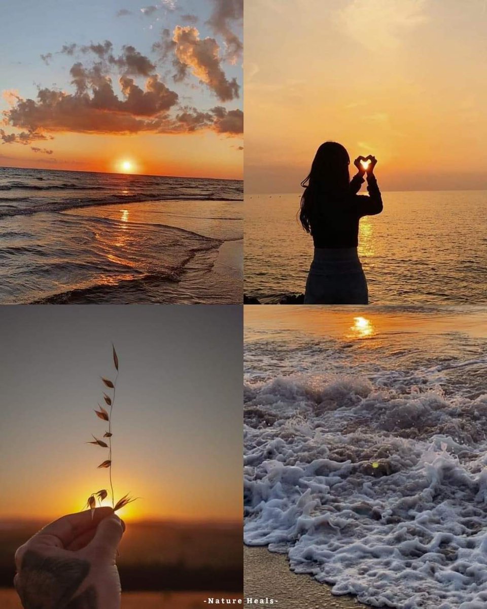 ඉරූ(Iru )🇱🇰イル tweet media