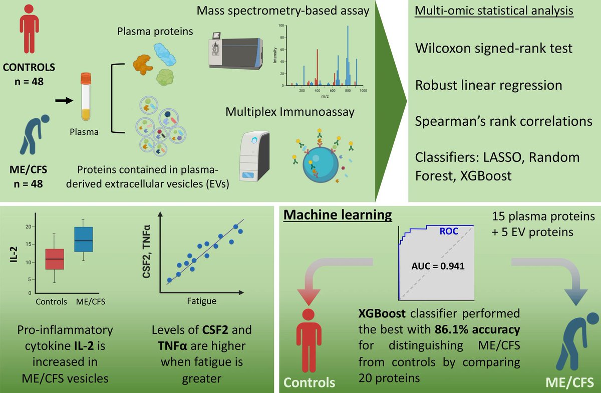 Cornell Center for Enervating NeuroImmune Disease tweet media