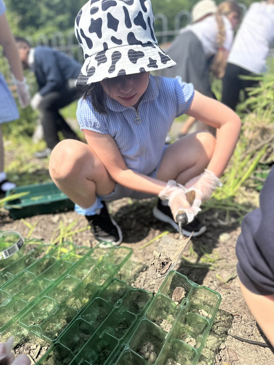 hancox_miss's tweet photo. Lovely afternoon gardening! We have weeded the area and plant some different seeds! We can’t wait to see what grows! #themillscience 🌻 https://t.co/r1onpBg23e