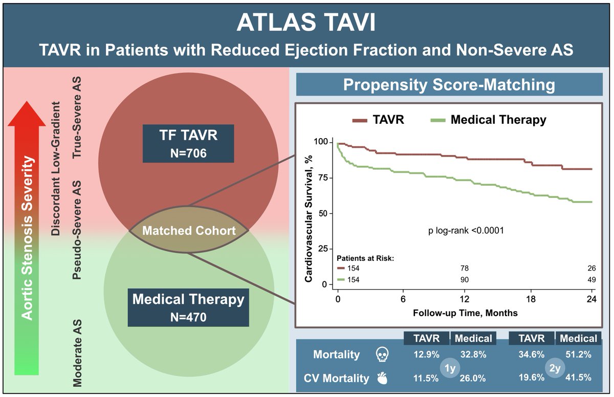 Is there a role for #TAVR in patients with reduced ejection fraction and non-severe aortic stenosis? TAVR for non-severe AS and reduced LVEF #aorticstenosis #HFrEF #CHF #LGAS #AHAJournals #cardiotwitter @SebLudwig1 @ClavelLabo @NiklasSchofer ahajournals.org/doi/10.1161/CI…