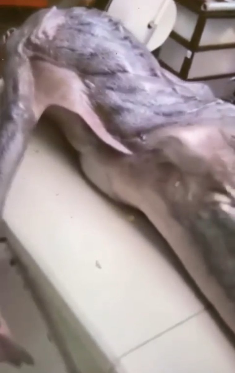 Hep Abd'de mi olur? Hayır bu kez Türkiye'de. Çok yakın zaman diliminde. Gaziantep bir uyarı mıydı yoksa? Ben bilmem ama bilenler var. Bu akşam saat:18.30 da YouTube kanalımda açıklayacağım.