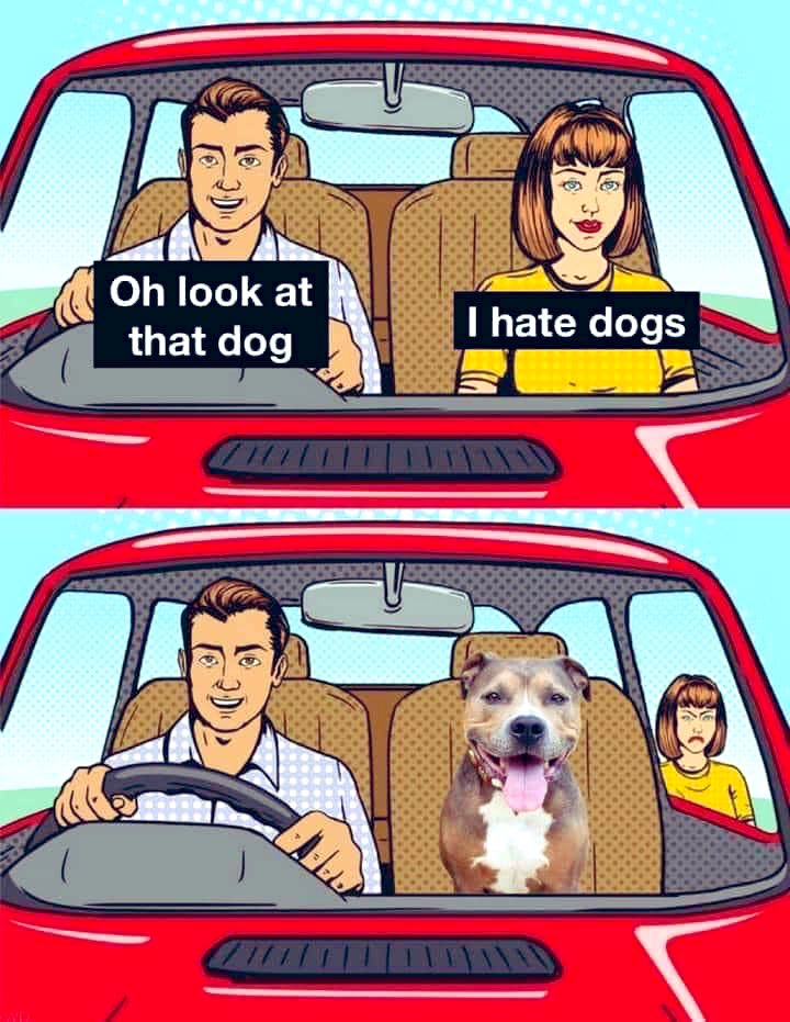 IndigoSpirit98's tweet photo. 🐶😆😂🤭
#ByeFelicia 
#DogsFTW 
#Dogsarefamily https://t.co/pYomjx0hsW