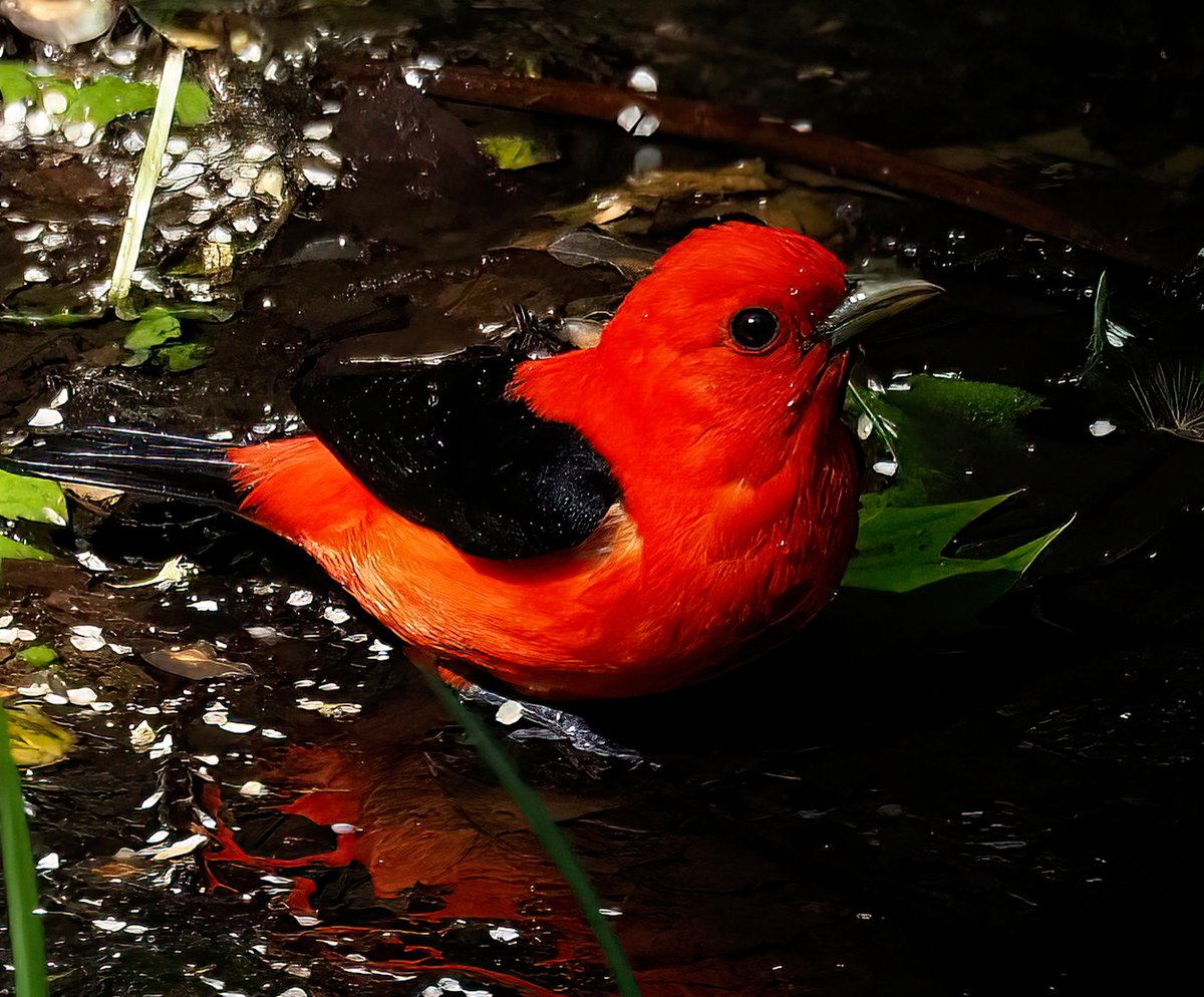 Above_96th tweet media