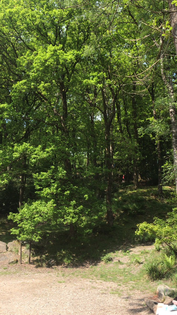 The Whartons Primary tweet media