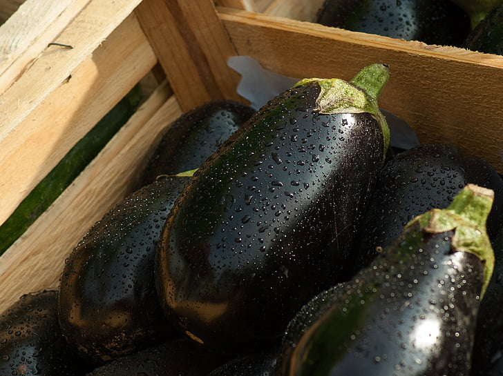 TimourPetit's tweet photo. Eggplant is a versatile and nutritious vegetable that can be prepared in many delicious ways, from grilling to roasting, frying to sautéing, and is a great source of fiber and antioxidants. #randomvegetableoftheday #Random https://t.co/9qZVu69gHY