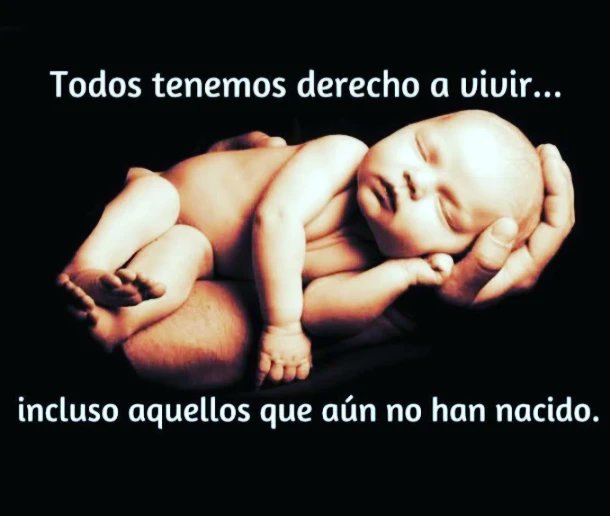RinconMarla's tweet photo. Éxodo 23:7 de palabras de mentira te alejaras y no matarás al inocente y justo, porque no no absolvere al culpable ...
Ya lo sabes!!!! https://t.co/mSLDsAfMsI