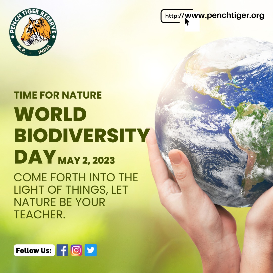 Biodiversity starts in the distant past & it points toward the future. We should preserve every scrap of biodiversity as its priceless & while we learn more to use it in better way, the more we come to understand what it means to humanity.

#biodiversity #BiodiversityDay2023