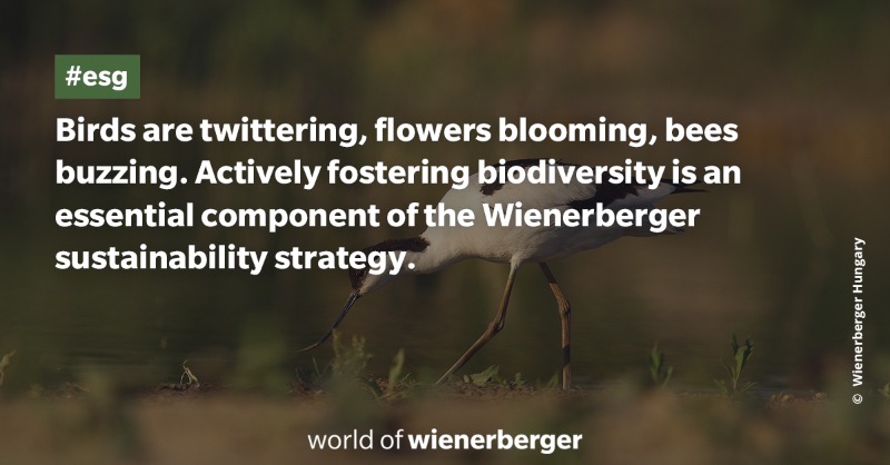 wienerberger's tweet photo. #Biodiversity is rapidly declining. With our #BiodiversityProgram, we are fostering biodiversity worldwide. ππ§±πππ
We asked our #biodiversitymanagers about current projects. #worldofwienerberger #InternationalDayofBiologicalDiversity