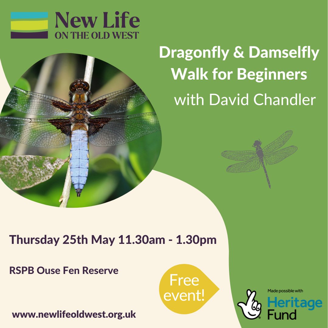 Practise your dragonfly and damselfly ID skills on this free guided walk with local expert David Chandler this Thursday. 

Book here: hubs.ly/Q01QGrYW0

#cambridgeshire #newlifeoldwest #fens #cambridgeshirefens #wildlife #nature #dragonflies #damselflies #rspbousefen