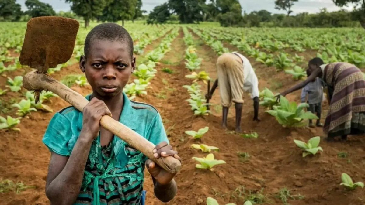 Child exploitation in agriculture is a pressing issue we must address. According to ILO and UNICEF, 60% of child laborers (ages 5-17) work in agriculture, including livestock, farming, aquaculture, forestry, and fishing. Let's work together to #EndChildExploitation in #farming.