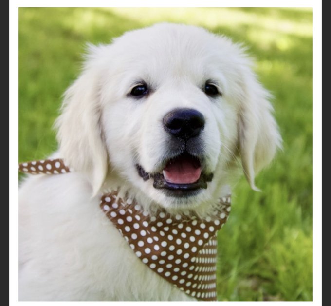 Y&rsquo;all&hellip;. 2 more days 🤍 https://t.co/K89aelxqaq<a href="/tag/bikerchick"class="tags"><span>#bikerchick</span></a><a href="/tag/biker"class="tags"><span>#biker</span></a><a href="/tag/gsxr"class="tags"><span>#gsxr</span></a><a href="/tag/daytonabikeweek"class="tags"><span>#daytonabikeweek</span></a>