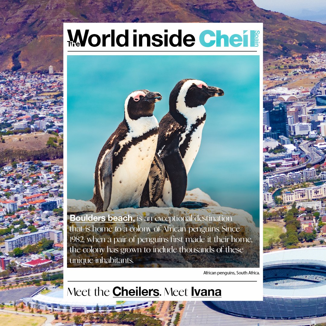 CheilSpain's tweet photo. 🌍Our office is multicultural. 🌍
There are 14 different nationalities. We learn and share new things from each of them every day. This time we are going to know a bit more about South Africa with our colleague Ivana.
#SouthAfrica #diversity #nationalities #CheilSpain https://t.co/MjTtlIM8dZ