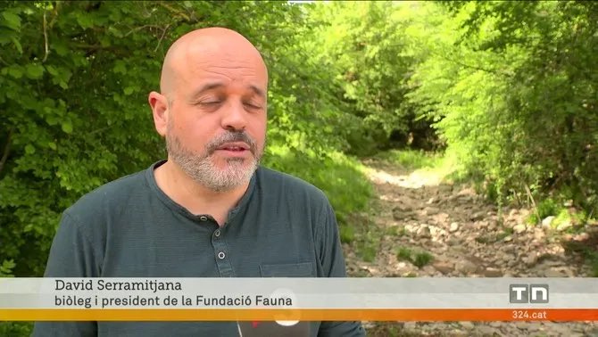 El Fluvià sense aigua la Vall d’en Bas. Ho denuncia ⁦<a href="/DSerramitjana/">David Serramitjana🐺</a>⁩ des de la ⁦<a href="/fundaciofauna/">Fundació Fauna</a>⁩ ccma.cat/tv3/alacarta/t… via <a href="/tv3cat/">TV3 és ara @Som3Cat</a>