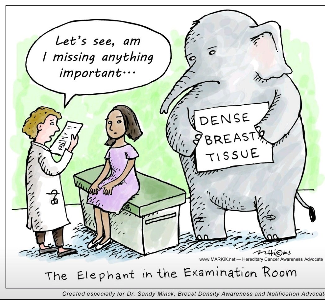 Siobhán Freeney Advocate #BreastDensity #LobularBC tweet media