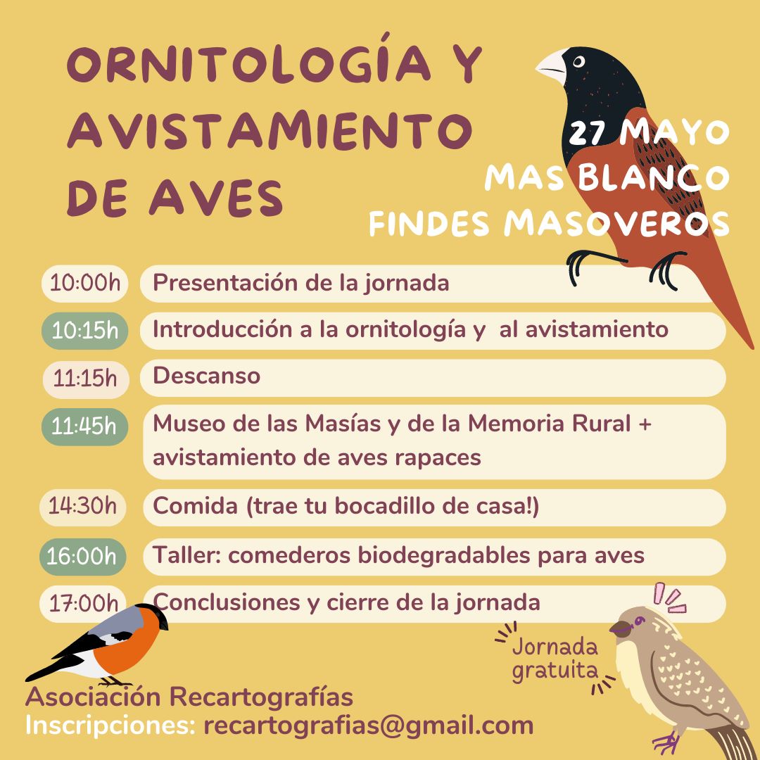 maria_smur's tweet photo. Mi pana @javircg y servidora hemos organizado esta actividad tan chula, gratuita, para el próximo 27 de mayo. Apta para adultos y familias con niños. Los pasaremos genial y aprenderemos a identificar las aves de nuestro entorno.
¿Qué más se puede pedir?
¡Te esperamos! https://t.co/agvZPCIsHg