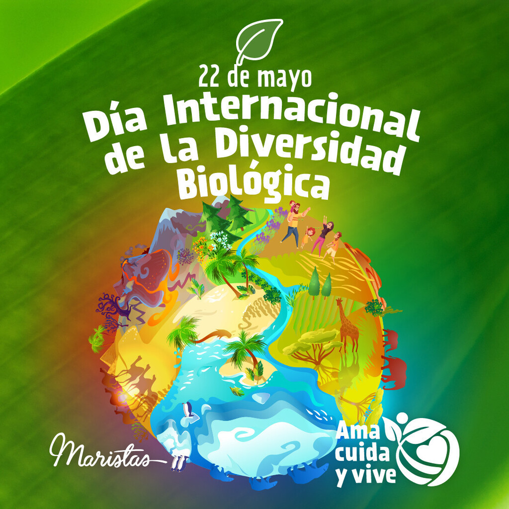 🦜El Día Internacional de la Diversidad Biológica se celebra el 22 de mayo de cada año.

🌎Fue decretado por la Organización de las Naciones Unidas (ONU), con el objetivo de crear conciencia acerca de la importancia que tiene la biodiversidad para los … instagr.am/p/CsjA9dHOa62/