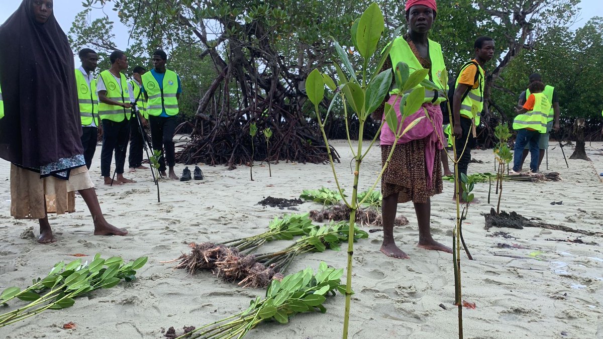 From the Sea to the Plate: The Role of Seaweed Farming in Supporting Biodiversity...#biodiversityweek2023 #WorldBiodiversityDay #biodiversityfestival #Youth4Biodiversity #closethecages #Changelivesforever #WorldBiodiversityDay  #Changelivesforever #biodiversity