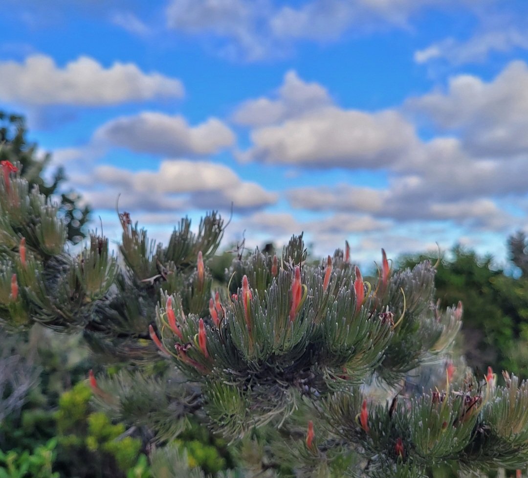 Nate Anderson tweet media