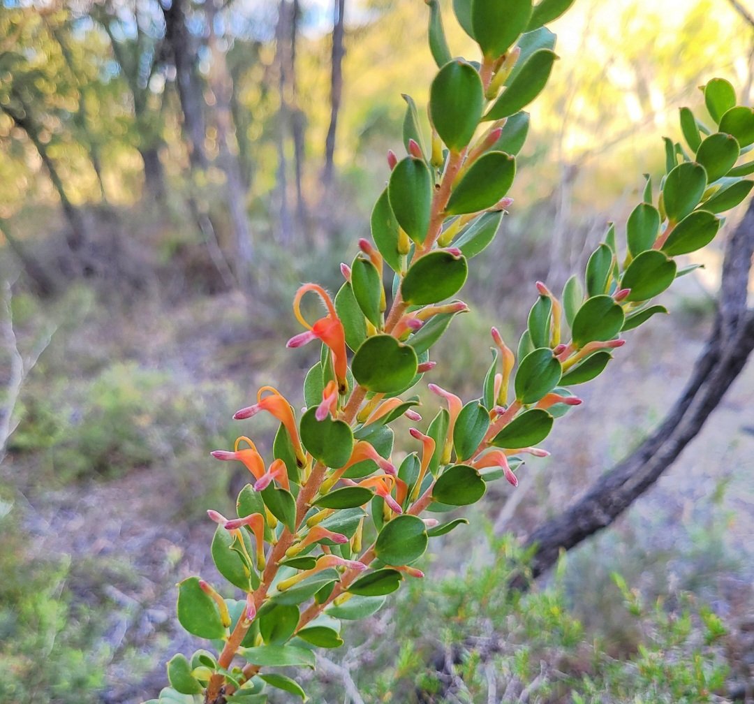 Nate Anderson tweet media