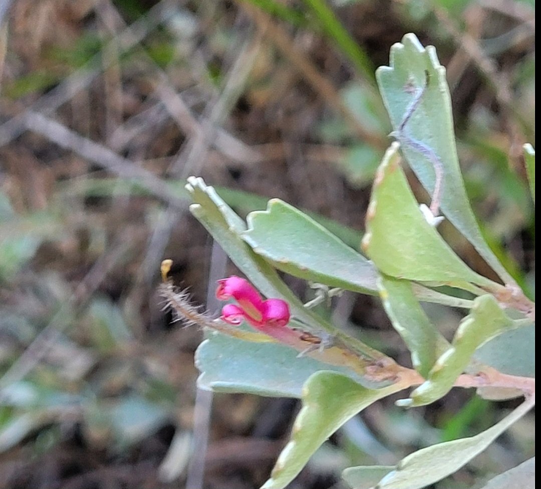 Nate Anderson tweet media