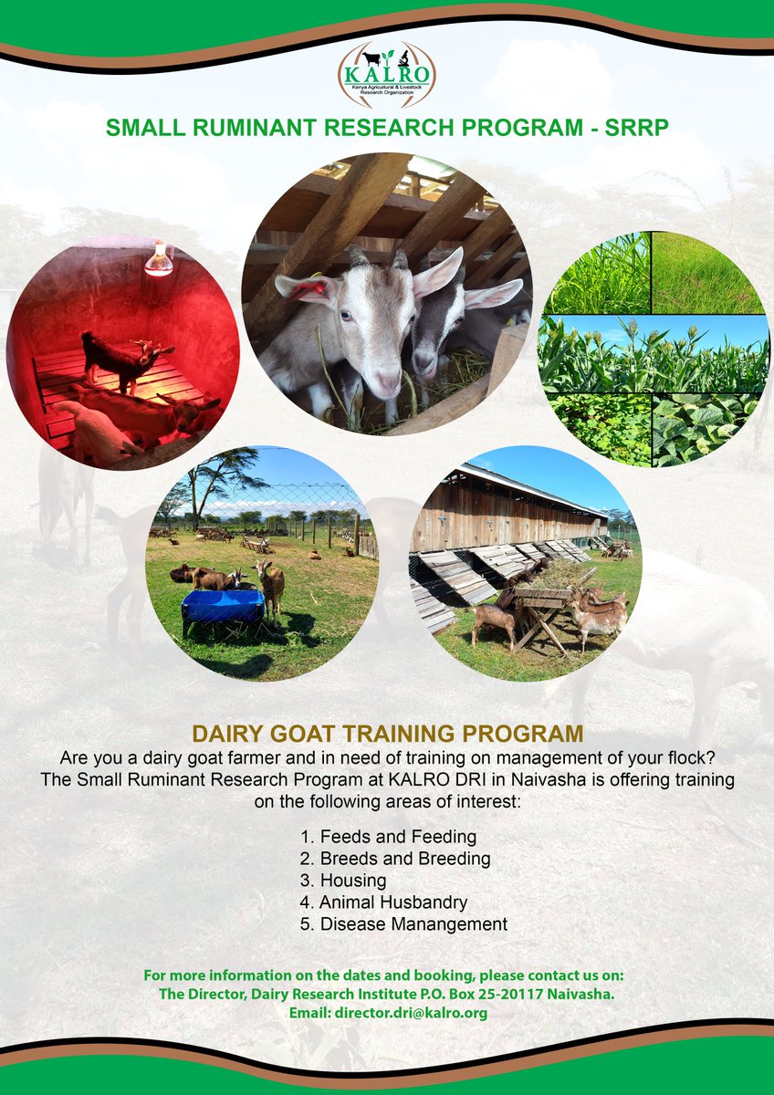 KALRO on Twitter "Are you a dairy goat farmer and in need of training