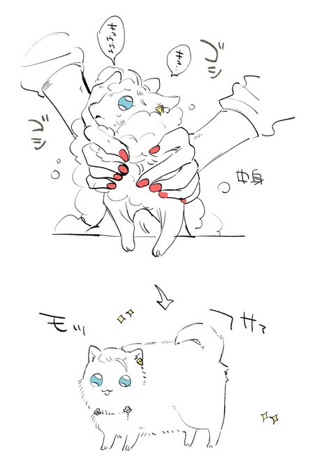 洗われてるポメを見た ※擬獣化