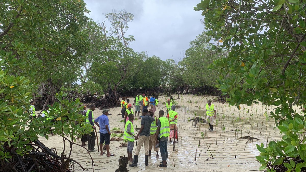 'Diving into Seaweed Farming: A Win-Win for Biodiversity and Sustainable Development'#biodiversityweek2023 #WorldBiodiversityDay #biodiversityfestival #Youth4Biodiversity #closethecages #Changelivesforever #WorldBiodiversityDay  #Changelivesforever #biodiversity