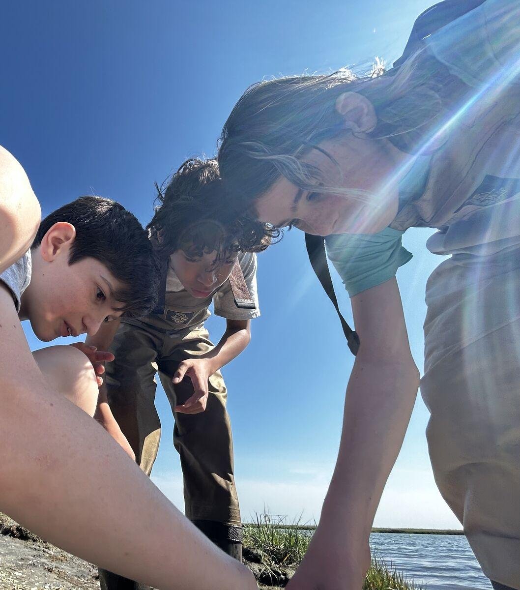 hfsFriends's tweet photo. Sixth grade traveled to the Wetlands Institute as part of their study of the ecology of the wetlands!
#fieldtrip #science #handsonlearning #middleschool #joyouslearning https://t.co/5tvIhjsgEl