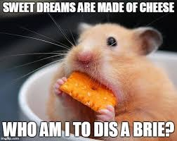 TheCheeseCo2891's tweet photo. #Cheese #humour https://t.co/SwOSpx9Pdg