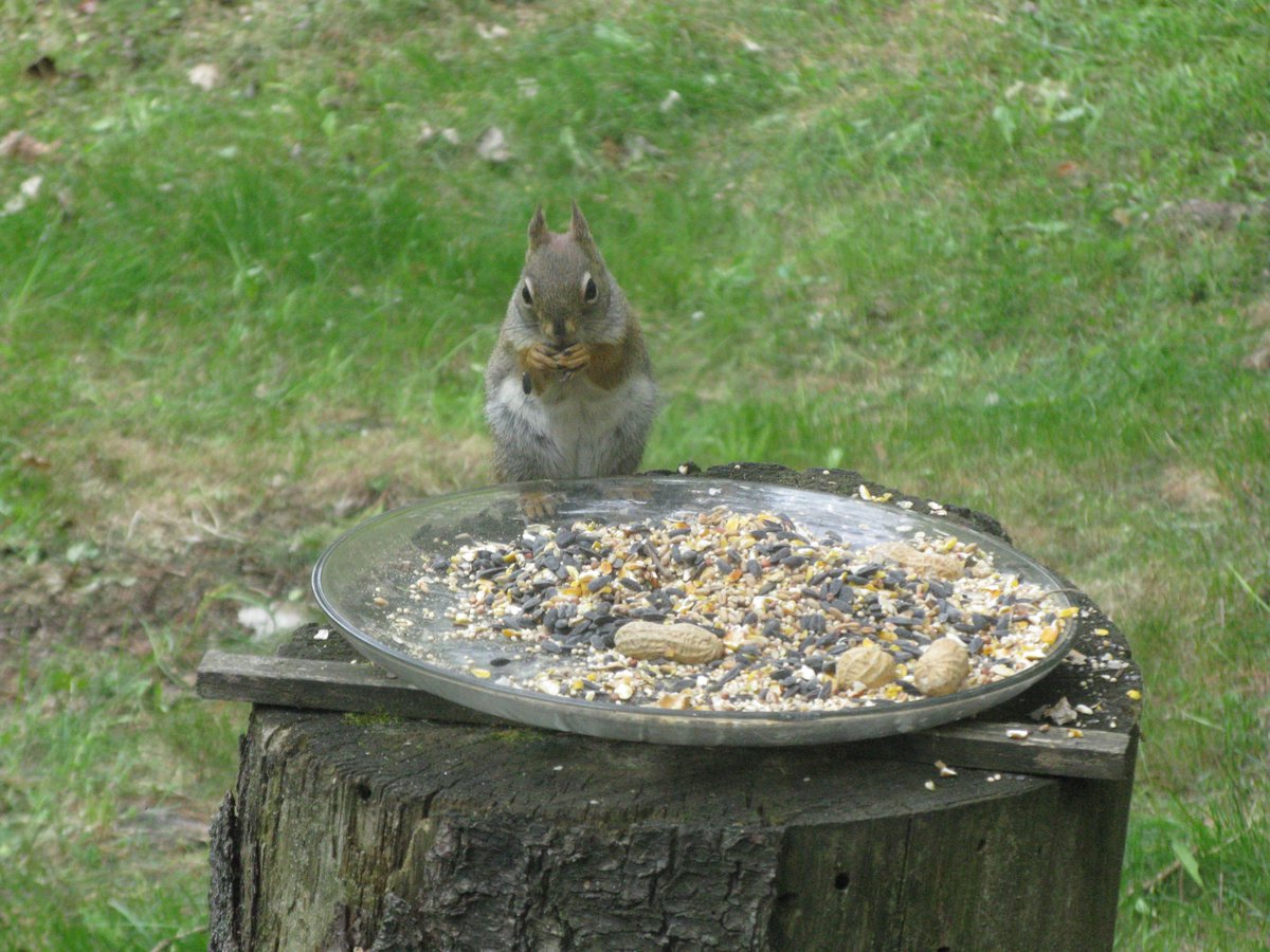 Ken Hummel ( AKA Mr. X) (@newman_goodmoon) on Twitter photo 