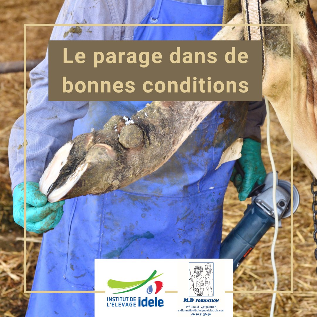 InstitutElevage's tweet photo. Agenda 📅 | Journée technique
✅ Le #parage dans de bonnes conditions 🐄🐂
↪ Notions de posture et d’#ergonomie dans le métier de pédicure #bovins
📅 7 sept
📌 Au Lycée agricole de Marmilaht, Lempdes
👉 Inscription avant le 27/7
👉 Nombre de places limité
https://t.co/dAORAjy4hk https://t.co/kqH5vElwHs