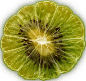 just wanted to tweet something