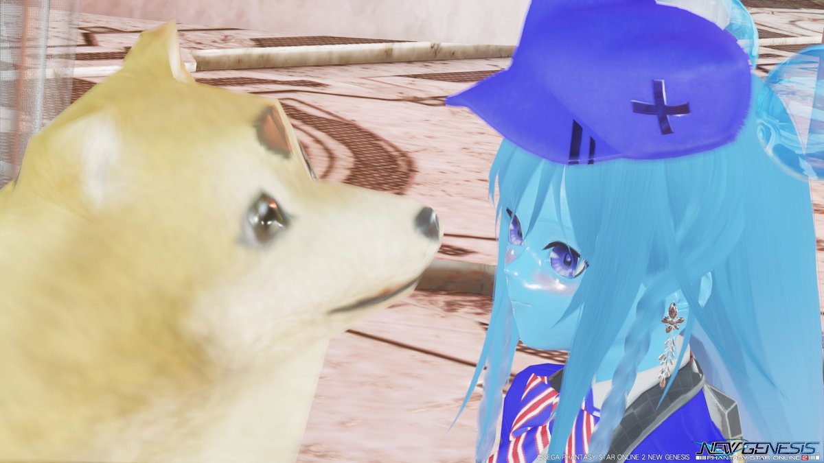 sekai_Angel's tweet photo. おはようございます(＾ω＾)
#スライム娘 #PSO2NGS ©SEGA   
じ～(・_・) https://t.co/3bR5hk3UG1