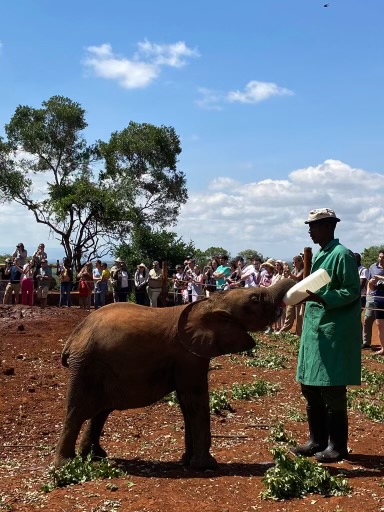 Derby County Community Trust 🐏 tweet media