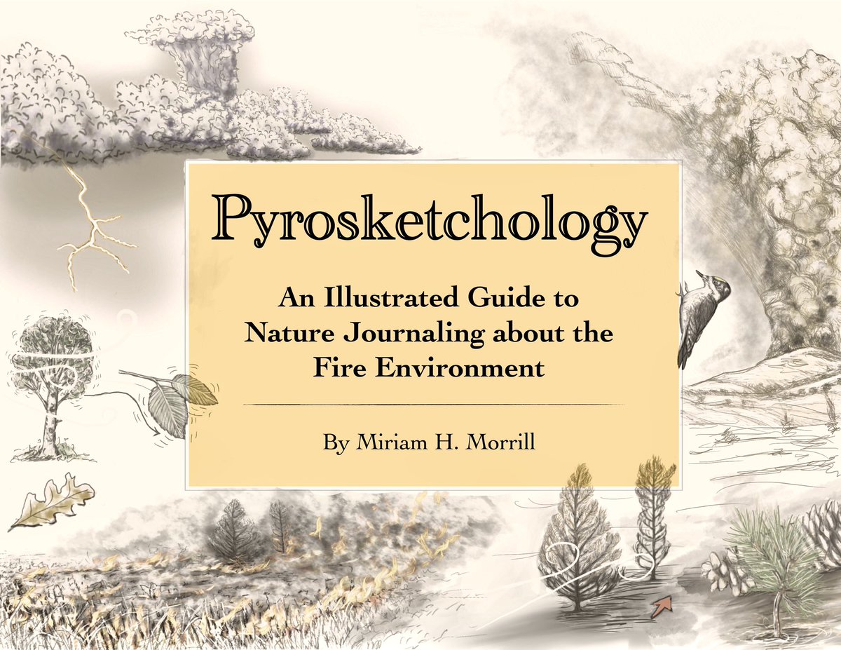 I have uploaded Chapter 8:  Fire &amp; Smoke and reloaded chapters 1-7 on my website as free PDFs. I appreciate hearing  if people take to the observations and practice or if just like the info and illustrations. pyrosketchology.com
#fire #smoke #fireeducation #DataVisualization