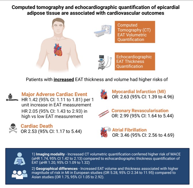 Increased epicardial adipose tissue volume and thickness, quantified by CT and echocardiography, confer increased risk of major adverse cardiac events @Nicholaswschew @mmamas1973 @YipHanChin @NUSMedicine #AHAJournals @AllisonGHaysMD ahajournals.org/doi/10.1161/CI…