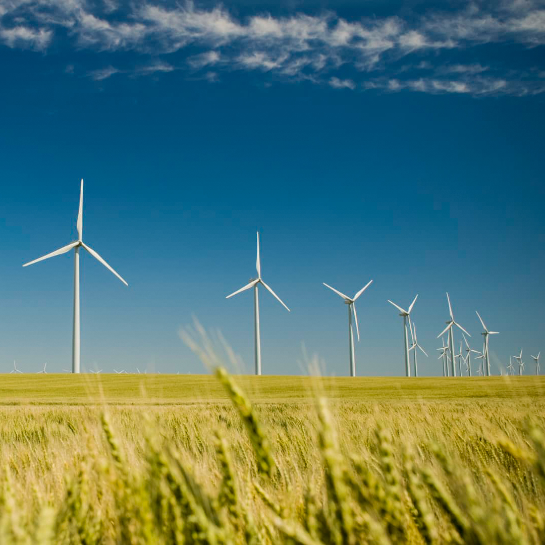 GrantThorntonUS's tweet image. The @SECGov is ramping up its enforcement efforts to ensure that #ESGReporting is done accurately. Registered #Investment companies must take steps to create records related to their #ESG processes, strengthen their internal controls and more. gt-us.co/3MN7t4d