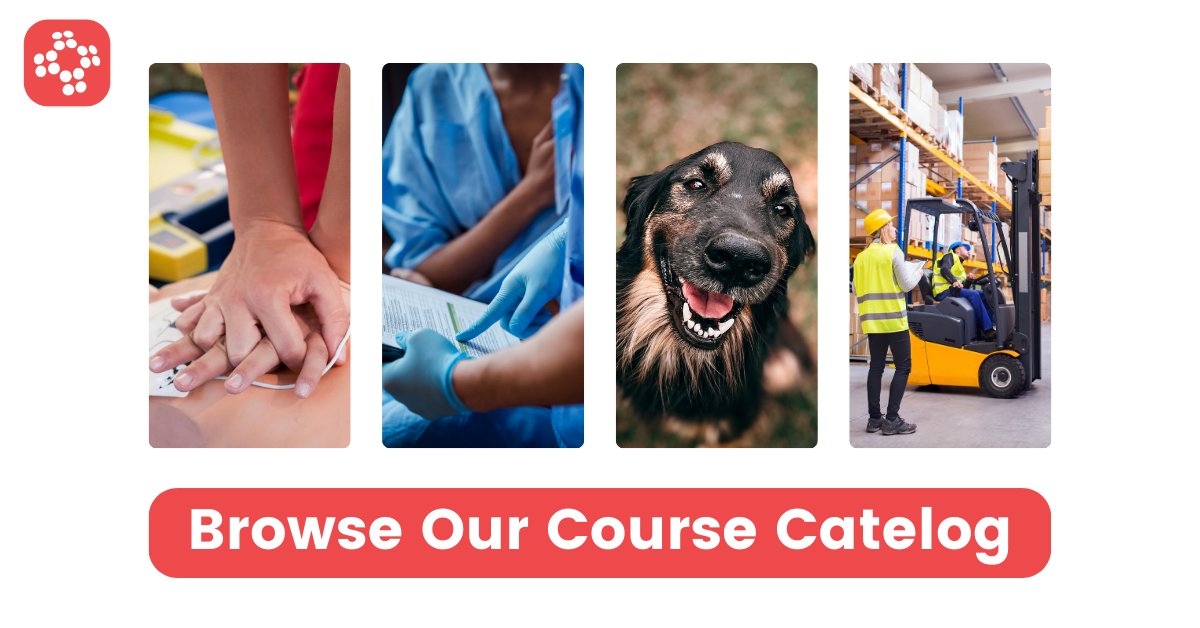 ProTrainings's tweet photo. Our course catalog goes far beyond #CPR. Whether it's #HIPAA, #COVID, #PetCPR, or more, we have what youโre looking for.
Take a look at our course library >>> https://t.co/Nsga6jBFe1 https://t.co/cjOSzGxozk