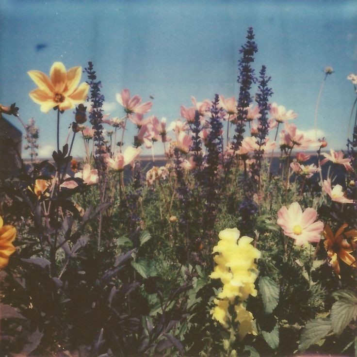 gksldi16's tweet photo. Go to Pinterest, write your name then "vibe" for ur aesthetic! https://t.co/uwaWcxmaE2
