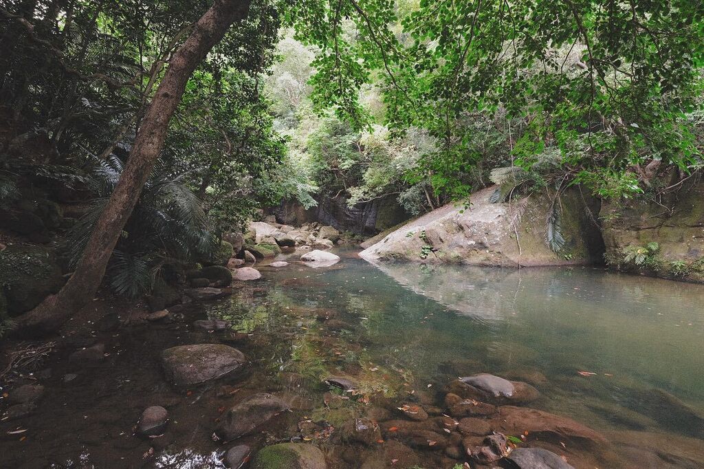 tuddyhopper's tweet photo. 亜熱帯サウナからドボン記。
#iriomote #hikingtime #fullnesswithadventure https://t.co/7YEGxlzuvK