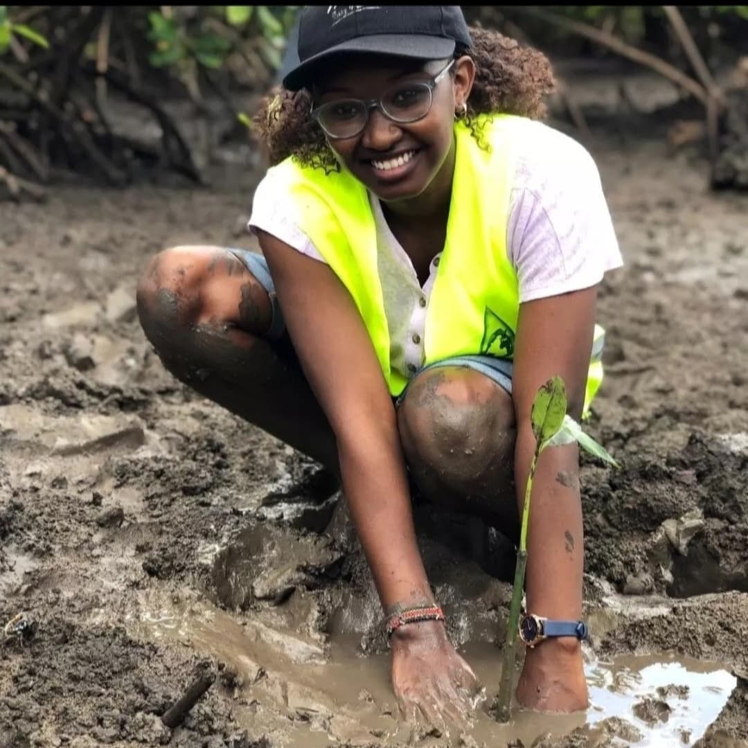 Mangroves: Nature's Guardians of Biodiversity, Planted with Love💚
#biodiversityweek2023 #WorldBiodiversityDay #biodiversityfestival #Youth4Biodiversity #closethecages  #WorldBiodiversityDay  #Changelivesforever #biodiversity @Khabetsa1 @rispersebastia1 @okamo_kungu