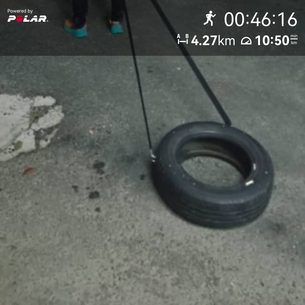 charleyxfury's tweet image. #PolarBeat