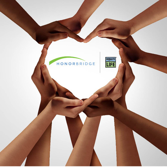 HonorBridge tweet media