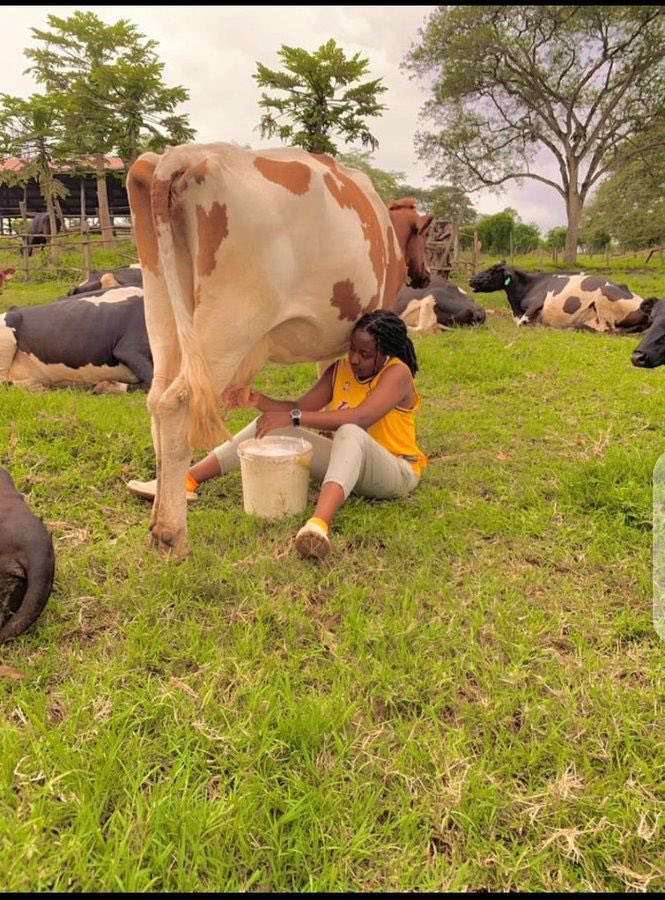 #women engaged in #agriculture plays a vital role in boosting agricultural production.Let's thank them so much🙏🙏
#FarmingisLife 🌱🌱