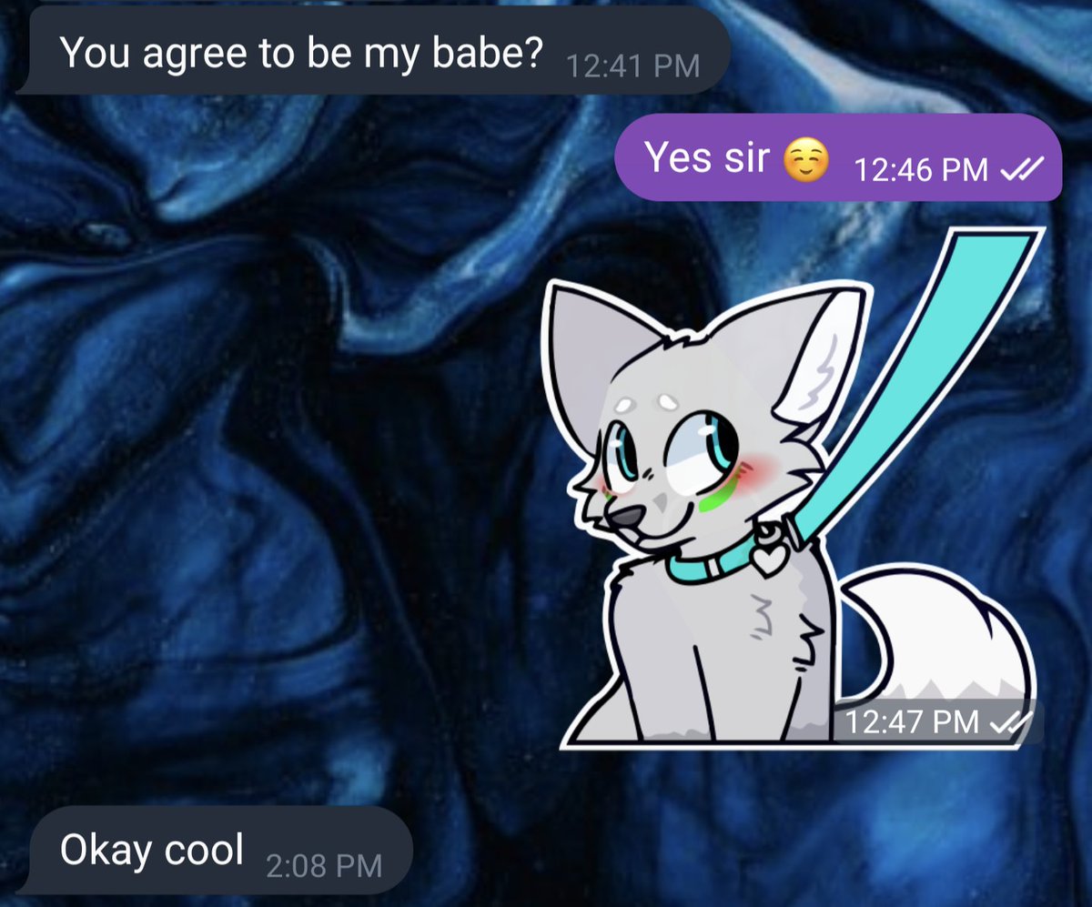 Zororeo! 🪽 tweet media