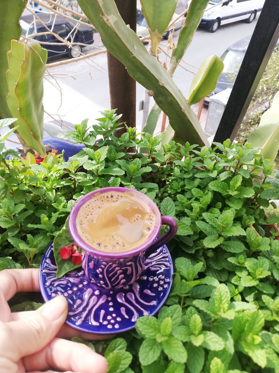 fevvziyee's tweet photo. Çok huzur 🌼🌼🌼 https://t.co/nQGfiWfcZ1