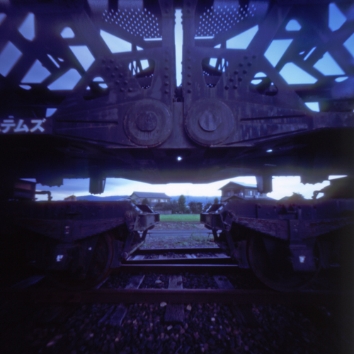 しきはん 🎞 tweet media